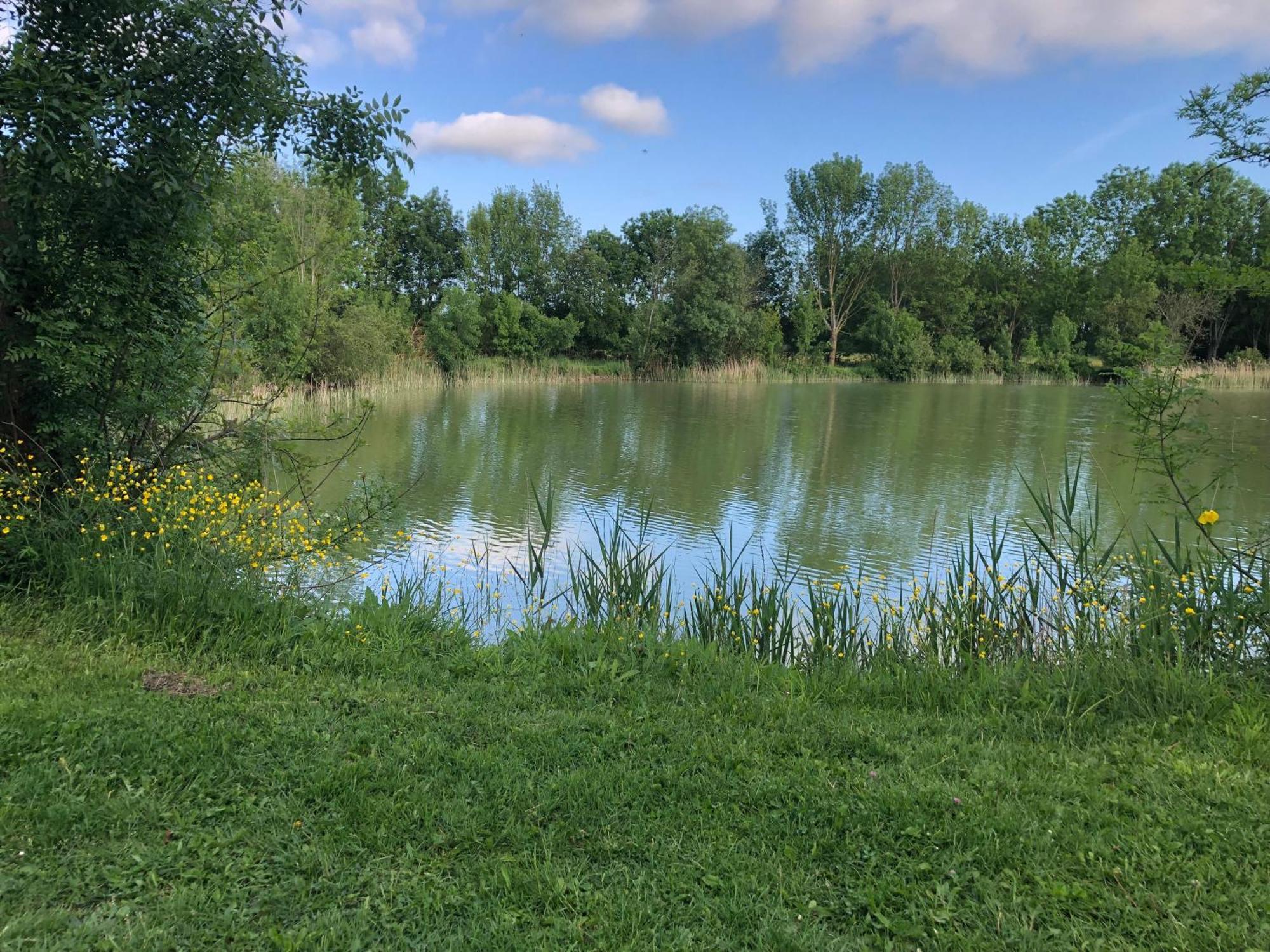 Le Logis De Vallans Exteriör bild